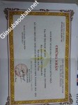 ảnh đính kèm của gia sư