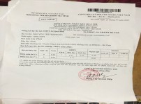 ảnh đính kèm của gia sư