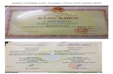 ảnh đính kèm của gia sư