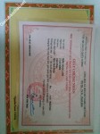 ảnh đính kèm của gia sư