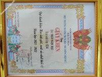 ảnh đính kèm của gia sư