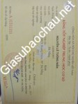 ảnh đính kèm của gia sư