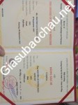ảnh đính kèm của gia sư