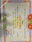 ảnh đính kèm của gia sư