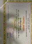 ảnh đính kèm của gia sư