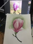 ảnh đính kèm của gia sư