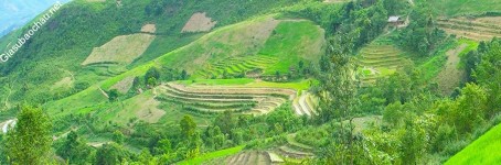 ảnh đính kèm của gia sư