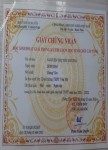 ảnh đính kèm của gia sư