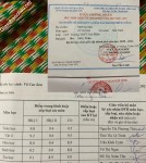 ảnh đính kèm của gia sư