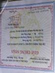 ảnh đính kèm của gia sư