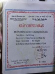 ảnh đính kèm của gia sư