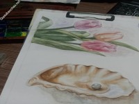 ảnh đính kèm của gia sư