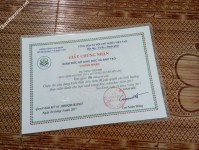 ảnh đính kèm của gia sư