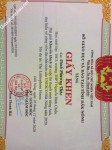 ảnh đính kèm của gia sư