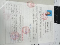 ảnh đính kèm của gia sư