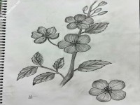 ảnh đính kèm của gia sư