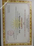 ảnh đính kèm của gia sư
