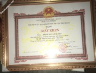 ảnh đính kèm của gia sư