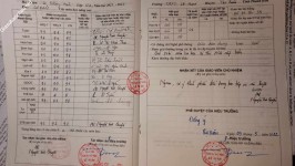ảnh đính kèm của gia sư