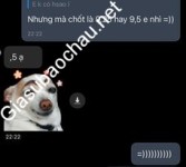 ảnh đính kèm của gia sư