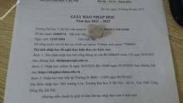 ảnh đính kèm của gia sư