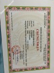 ảnh đính kèm của gia sư