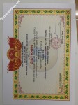 ảnh đính kèm của gia sư
