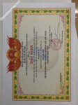 ảnh đính kèm của gia sư