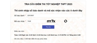 ảnh đính kèm của gia sư