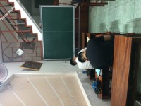 ảnh đính kèm của gia sư
