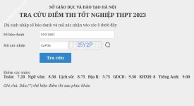 ảnh đính kèm của gia sư