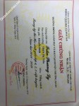 ảnh đính kèm của gia sư