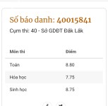 ảnh đính kèm của gia sư