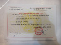 ảnh đính kèm của gia sư