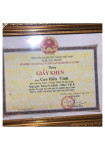 ảnh đính kèm của gia sư
