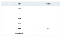 ảnh đính kèm của gia sư
