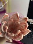 ảnh đính kèm của gia sư