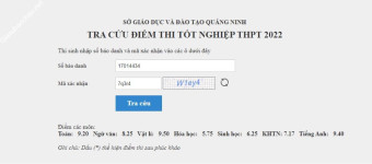 ảnh đính kèm của gia sư
