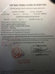 ảnh đính kèm của gia sư