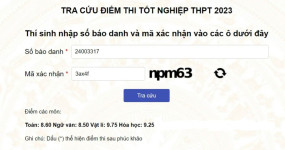 ảnh đính kèm của gia sư