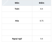 ảnh đính kèm của gia sư