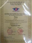 ảnh đính kèm của gia sư
