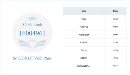 ảnh đính kèm của gia sư