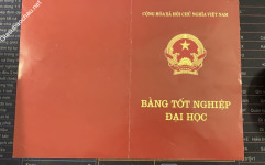 ảnh đính kèm của gia sư