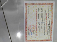 ảnh đính kèm của gia sư