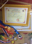 ảnh đính kèm của gia sư