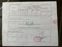 ảnh đính kèm của gia sư