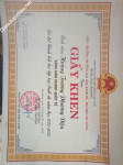 ảnh đính kèm của gia sư