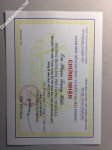 ảnh đính kèm của gia sư