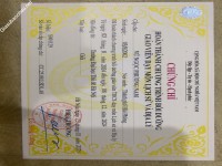 ảnh đính kèm của gia sư